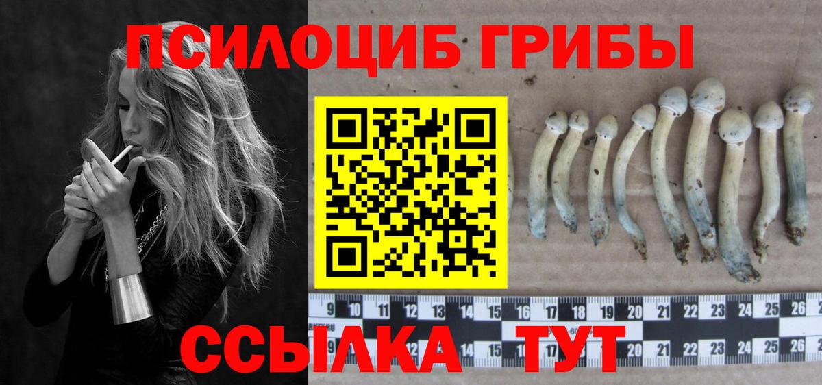 Галлюциногенные грибы Psilocybine cubensis  Вход с VPN  Шатура 