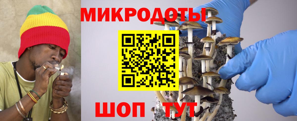 Галлюциногенные грибы мицелий Шатура